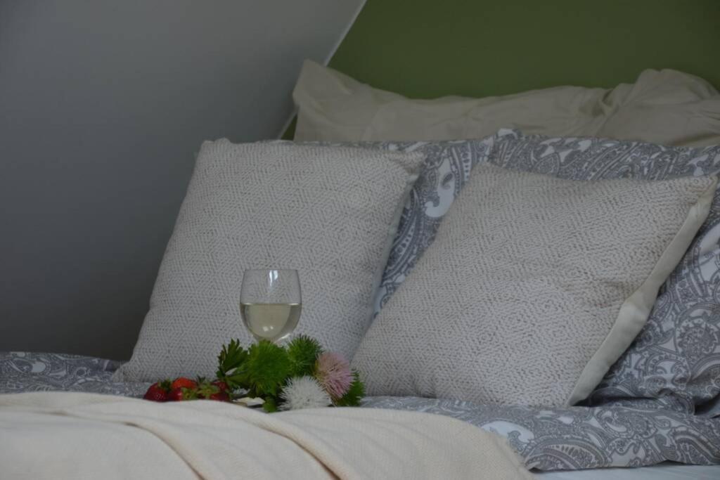 Ines Apartament Two Levels 105M2 In The Old Town Wi-Fi, Olsztyn  Exterior photo